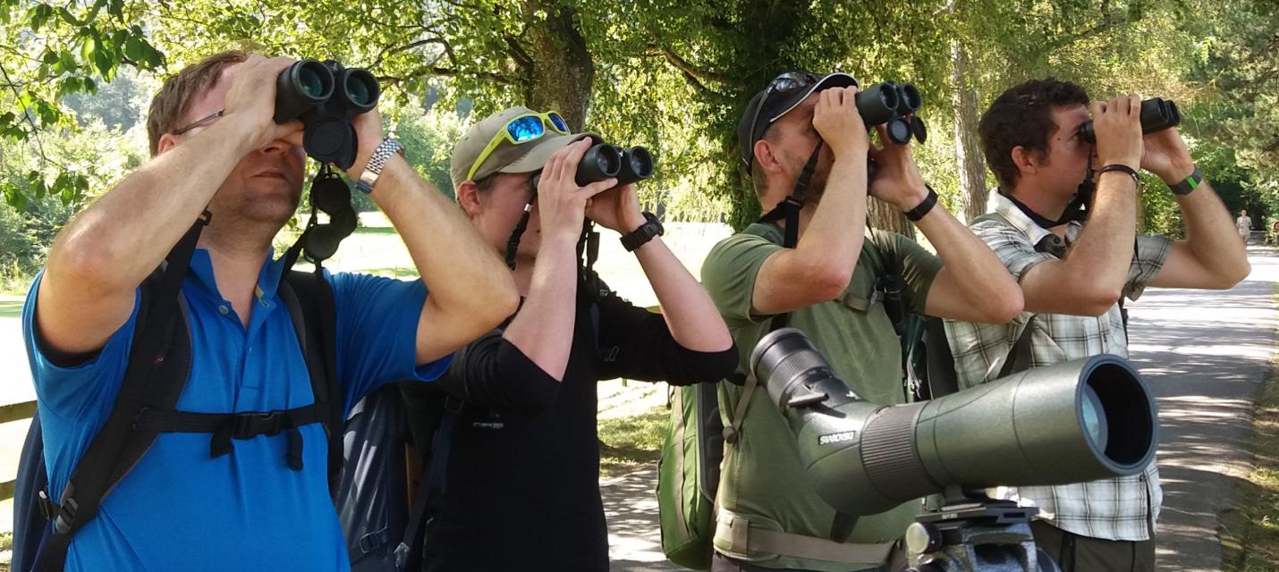 Team Bern Birding