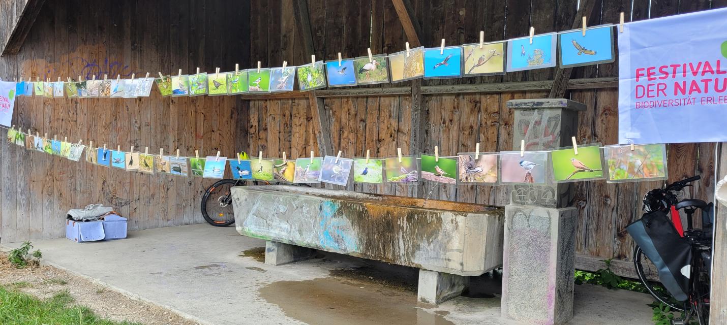 Festival der Natur