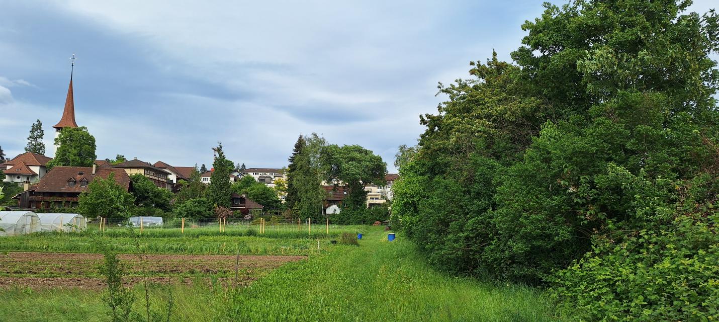 Impression Münsingen
