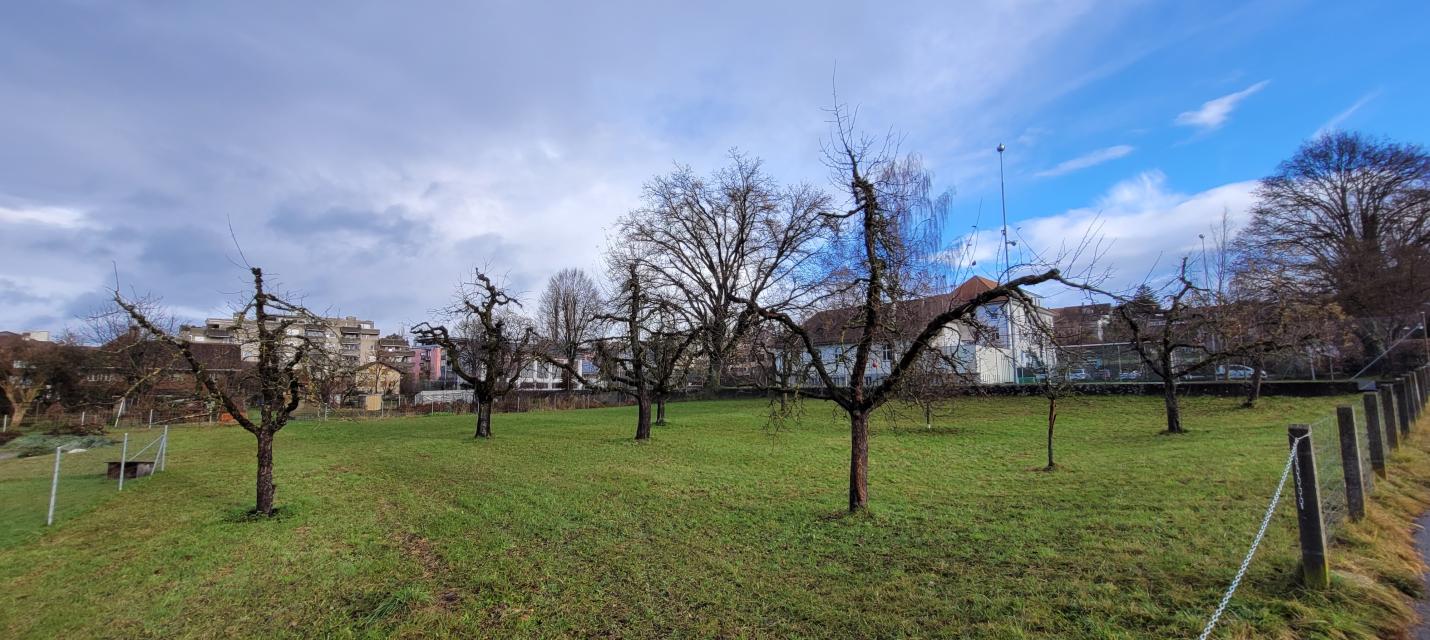 Hostett Hinterdorf