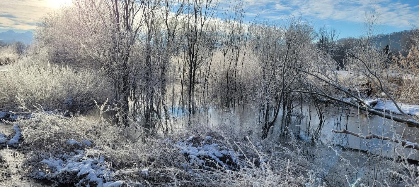 Schwarzbach im Winter